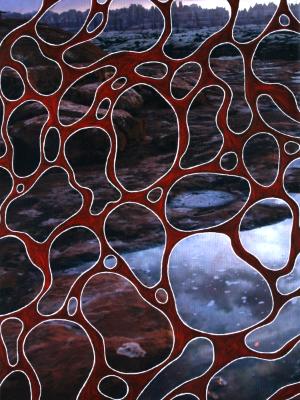 Lava Lava
