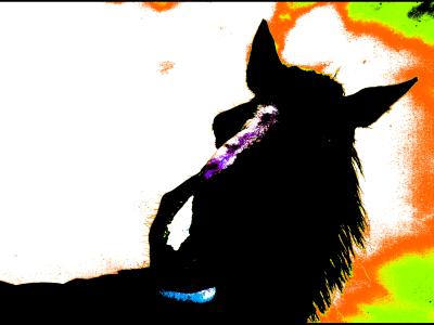 Silhouette Silhouette